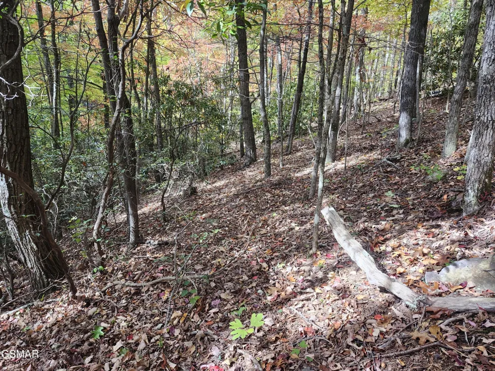 11 Bluff Mtn. Rd. Sevierville, TN 37876