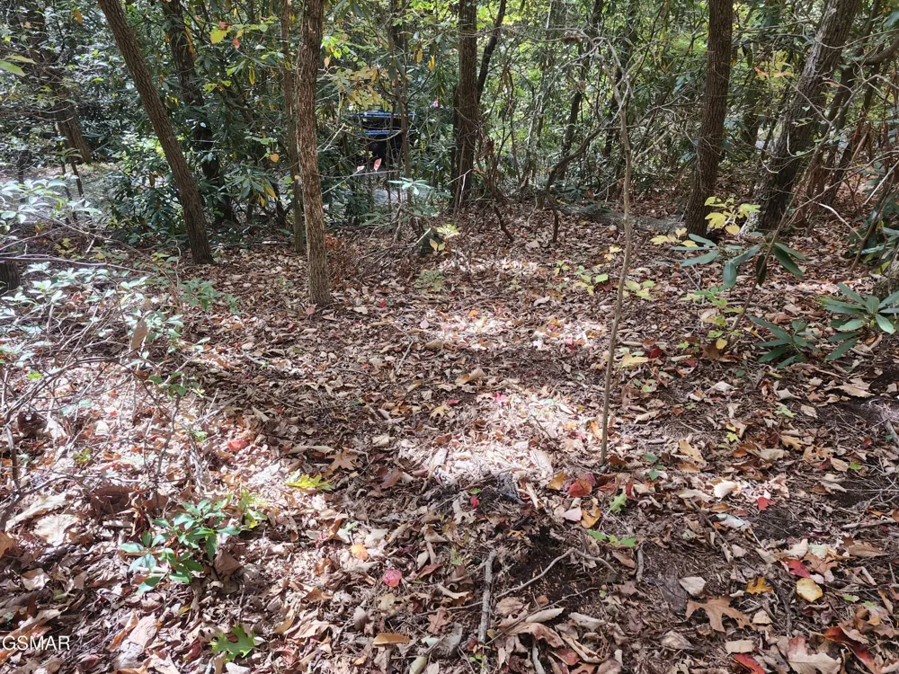 11 Bluff Mtn. Rd. Sevierville, TN 37876