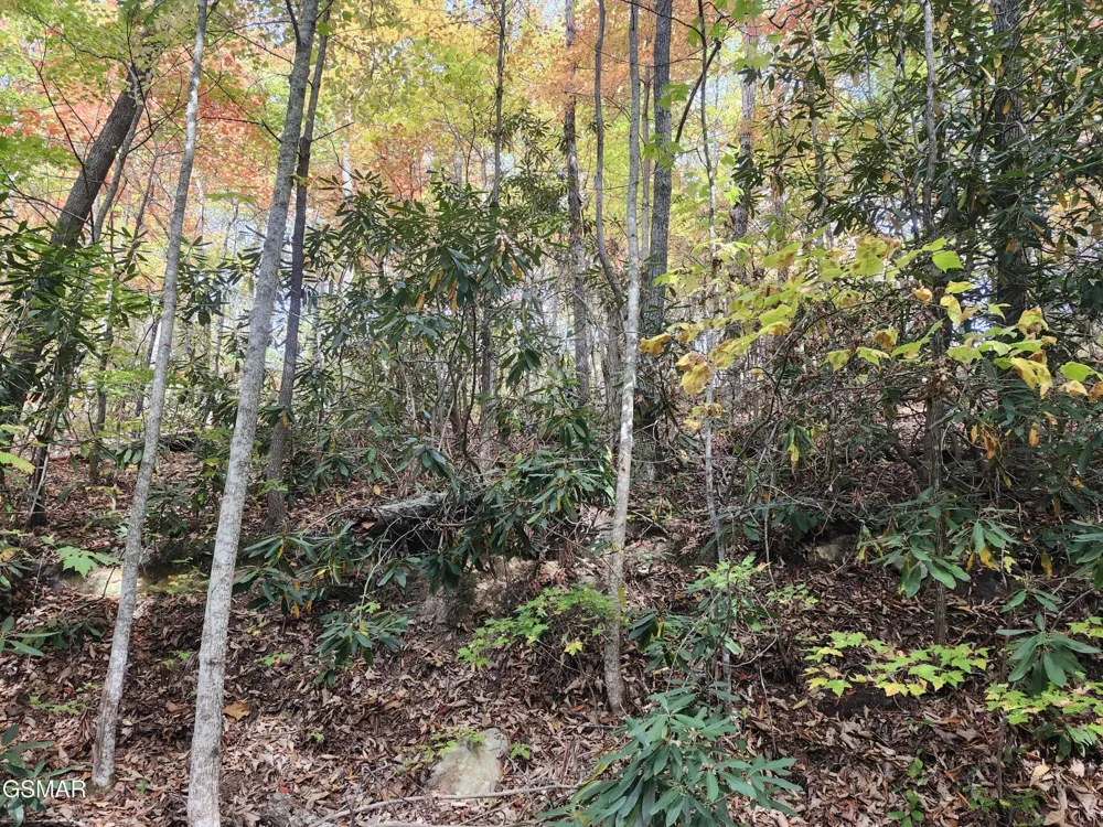 11 Bluff Mtn. Rd. Sevierville, TN 37876