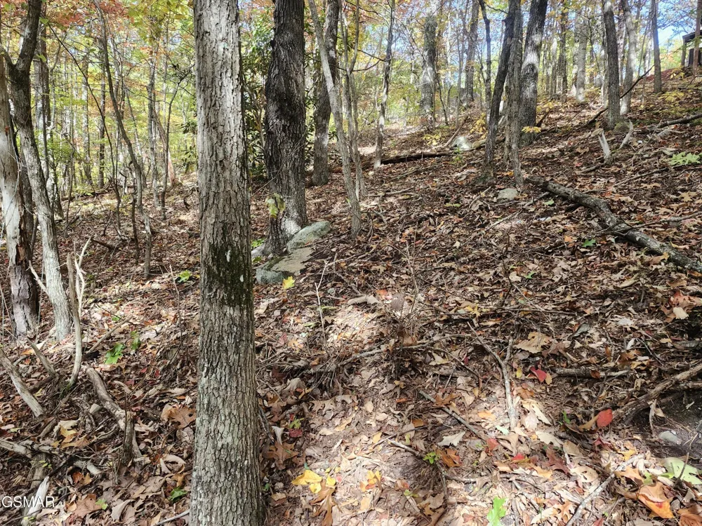 11 Bluff Mtn. Rd. Sevierville, TN 37876
