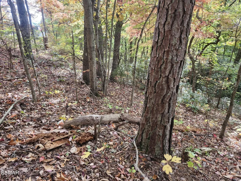 11 Bluff Mtn. Rd. Sevierville, TN 37876
