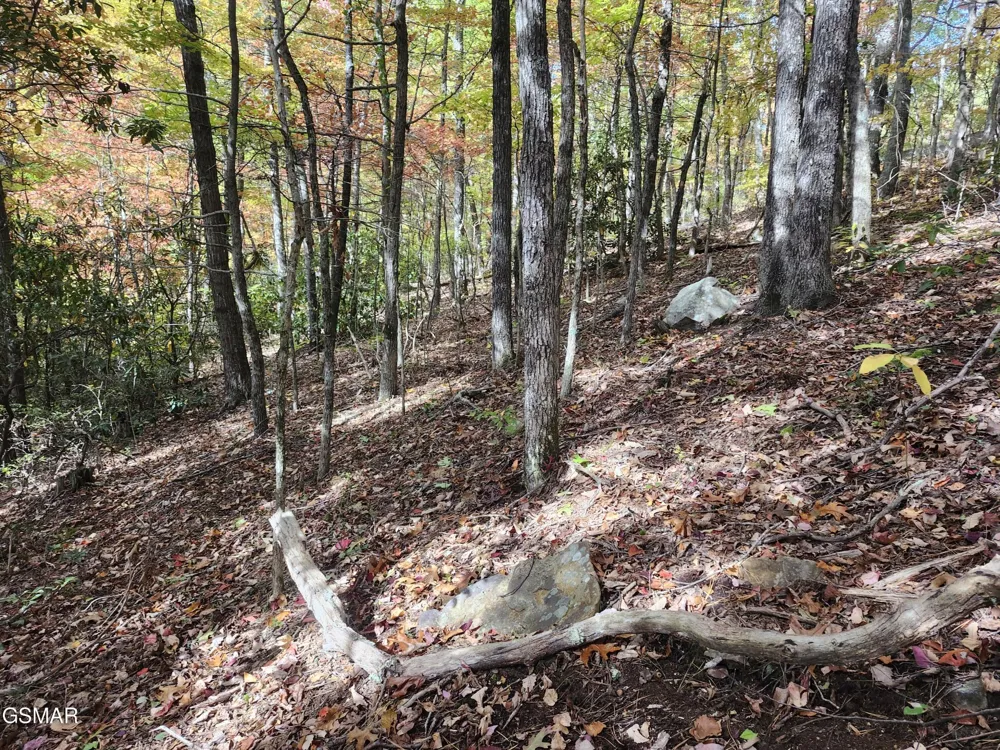 11 Bluff Mtn. Rd. Sevierville, TN 37876