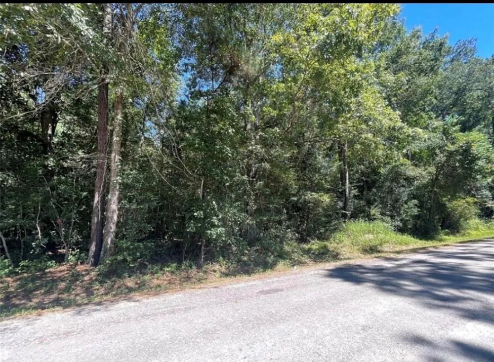 County Road 3669 Splendora, TX 77372