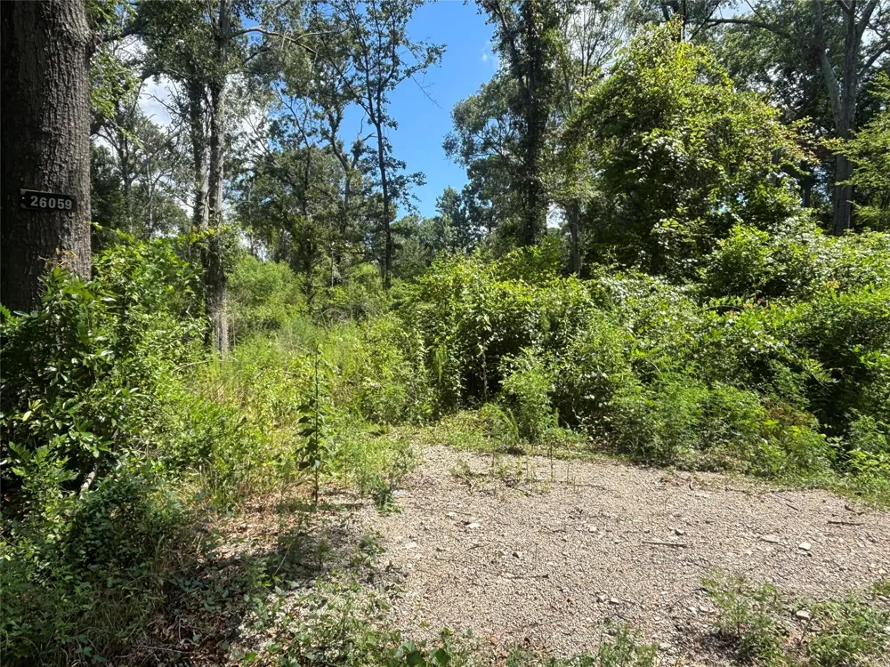 26059 E Christine Drive Splendora, TX 77372