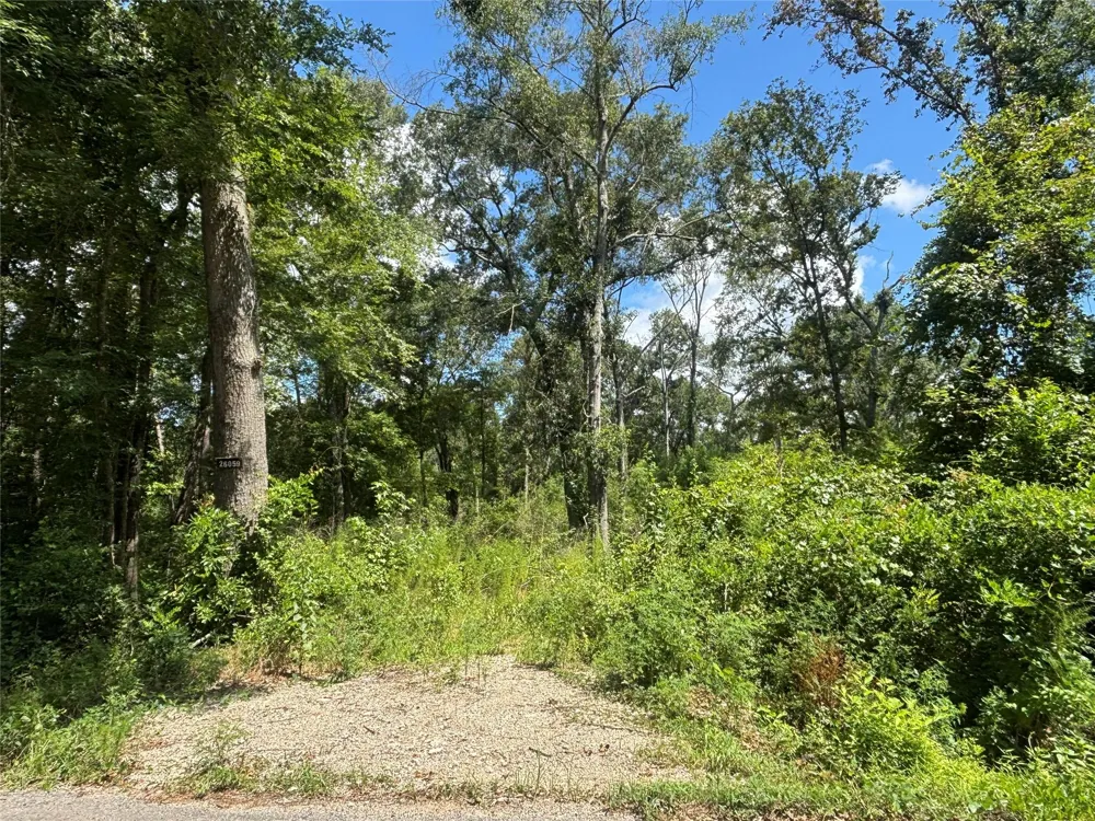 26059 E Christine Drive Splendora, TX 77372
