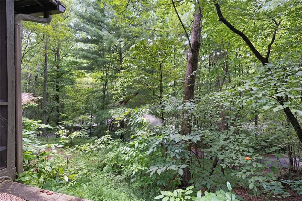270 Buckskull Hollow Drive Big Canoe, GA 30143