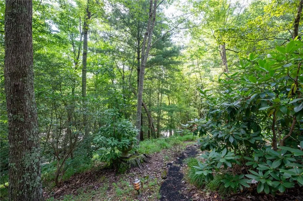 270 Buckskull Hollow Drive Big Canoe, GA 30143