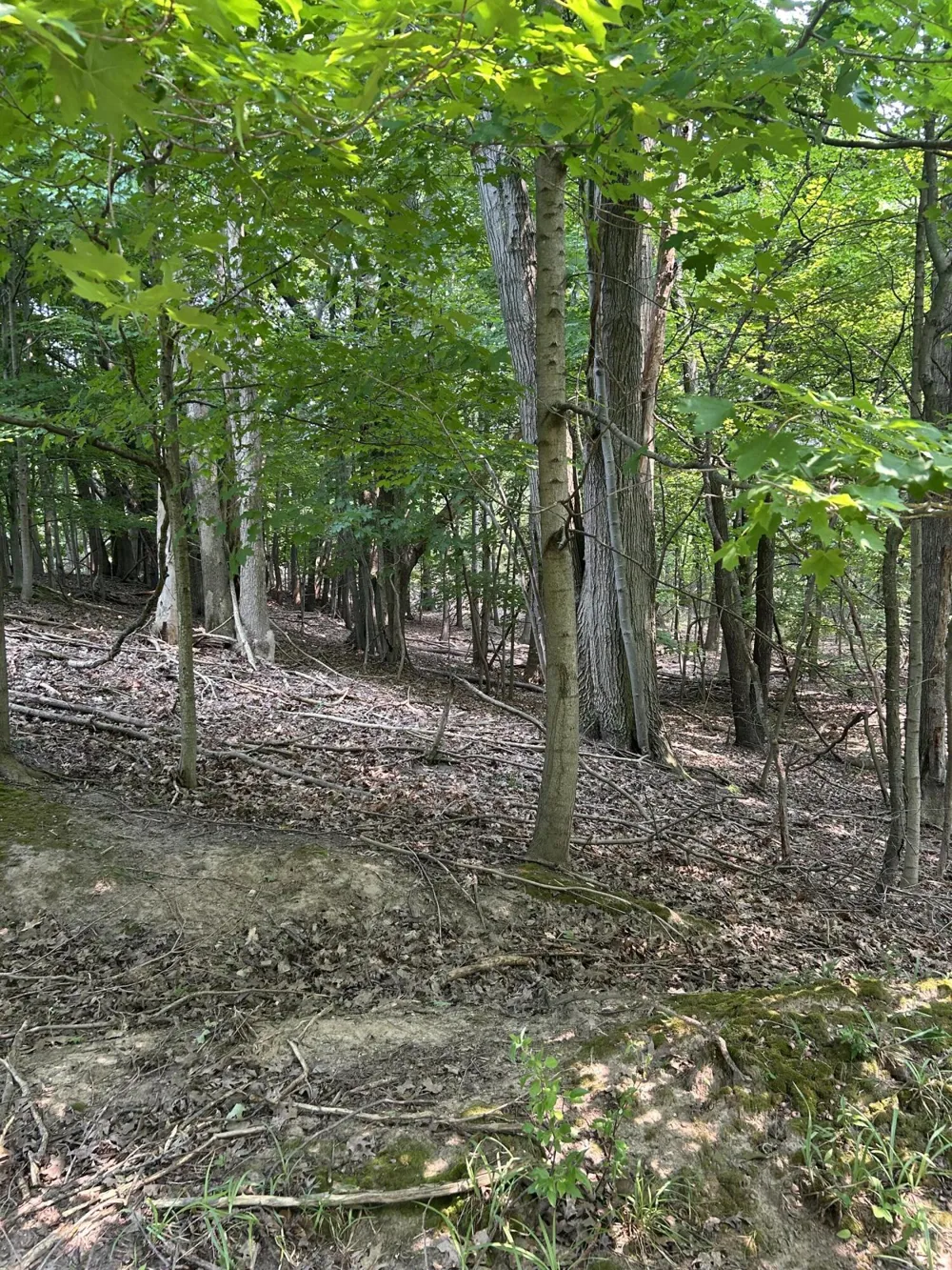 V/L Longbridge East Parcel 11 Pentwater, MI 49449