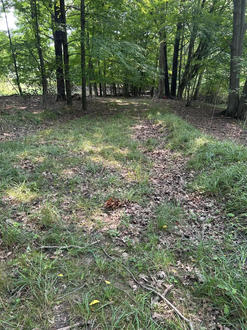 V/L Longbridge East Parcel 11 Pentwater, MI 49449