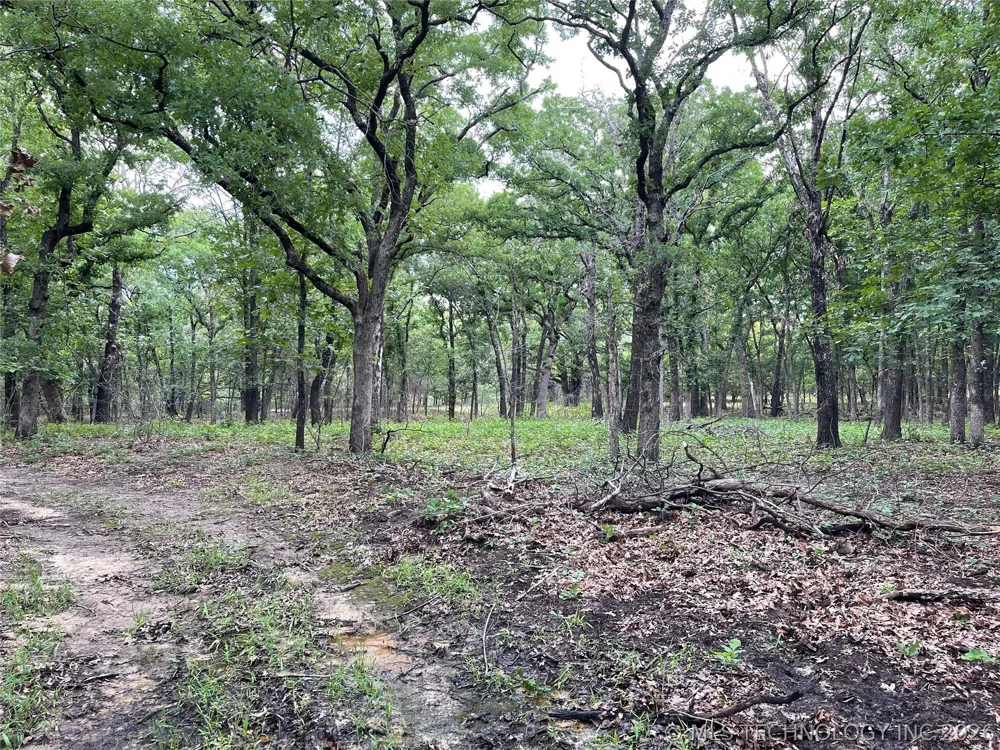 383006 E1160 Weleetka, OK 74880