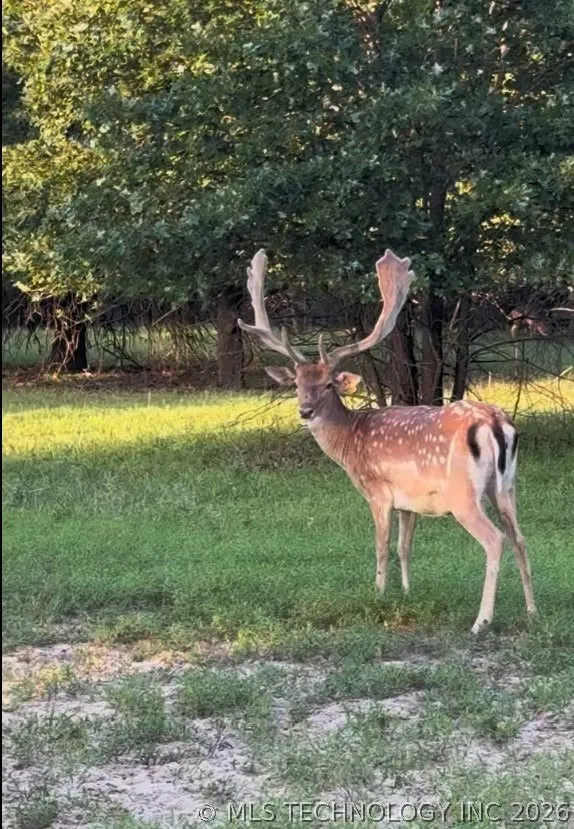 383006 E1160 Weleetka, OK 74880