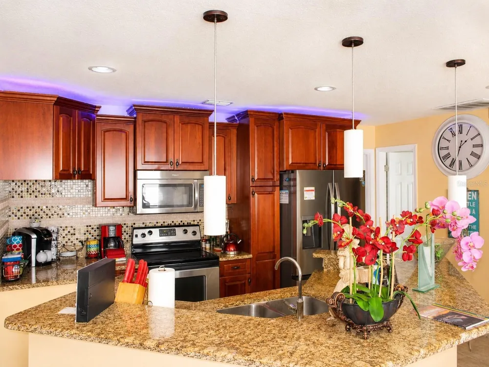 3513 WESTMINISTER COURT Holiday, FL 34691