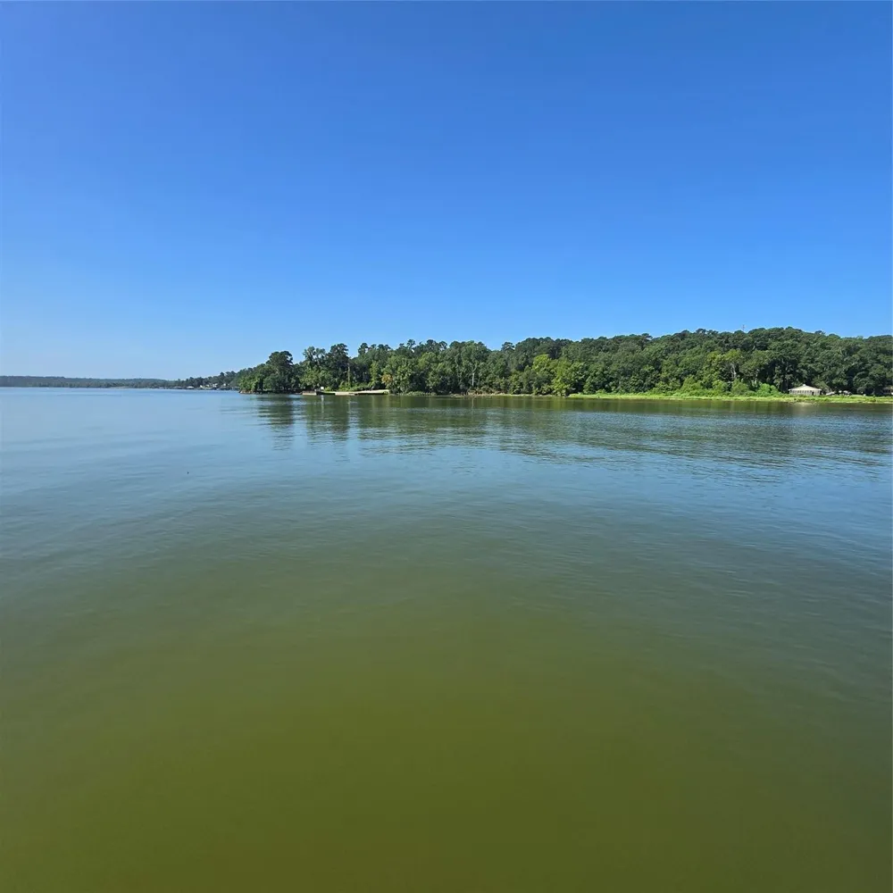 68 Edgewater Way Point Blank, TX 77364