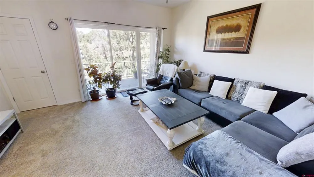 1140 Carbon Junction #47 Durango, CO 81301