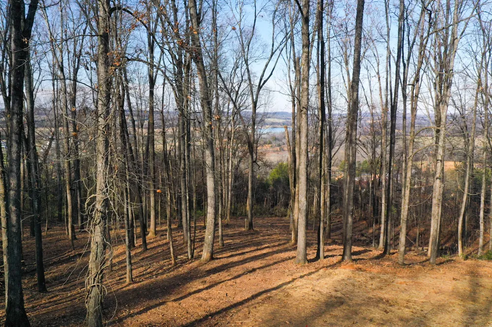 Lot 10 Poplar Drive Sweetwater, TN 37874
