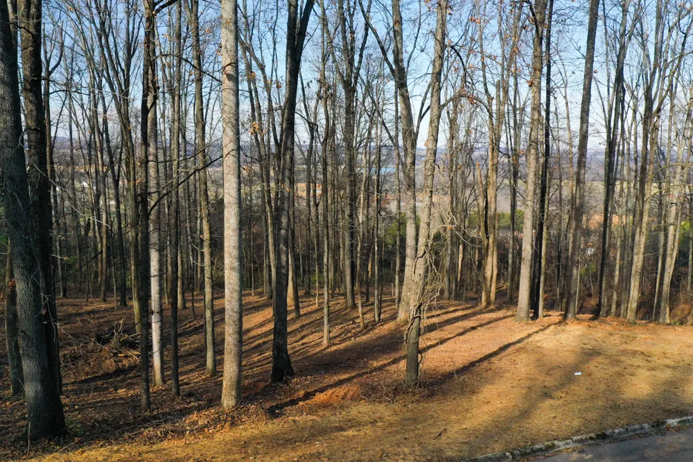 Lot 10 Poplar Drive Sweetwater, TN 37874