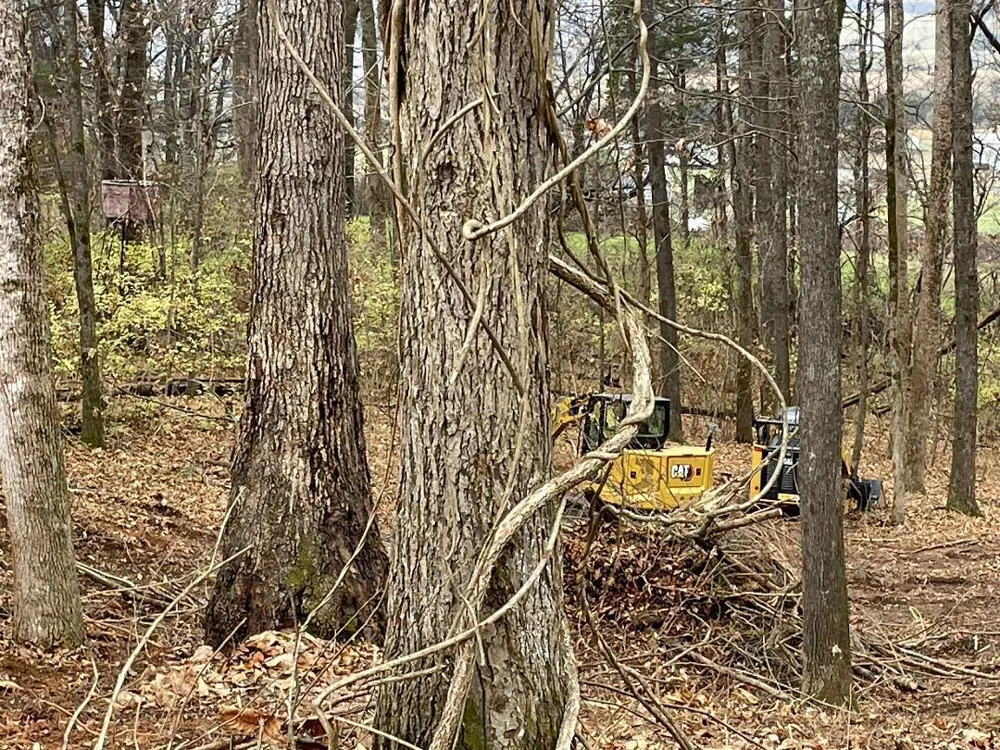 Lot 10 Poplar Drive Sweetwater, TN 37874