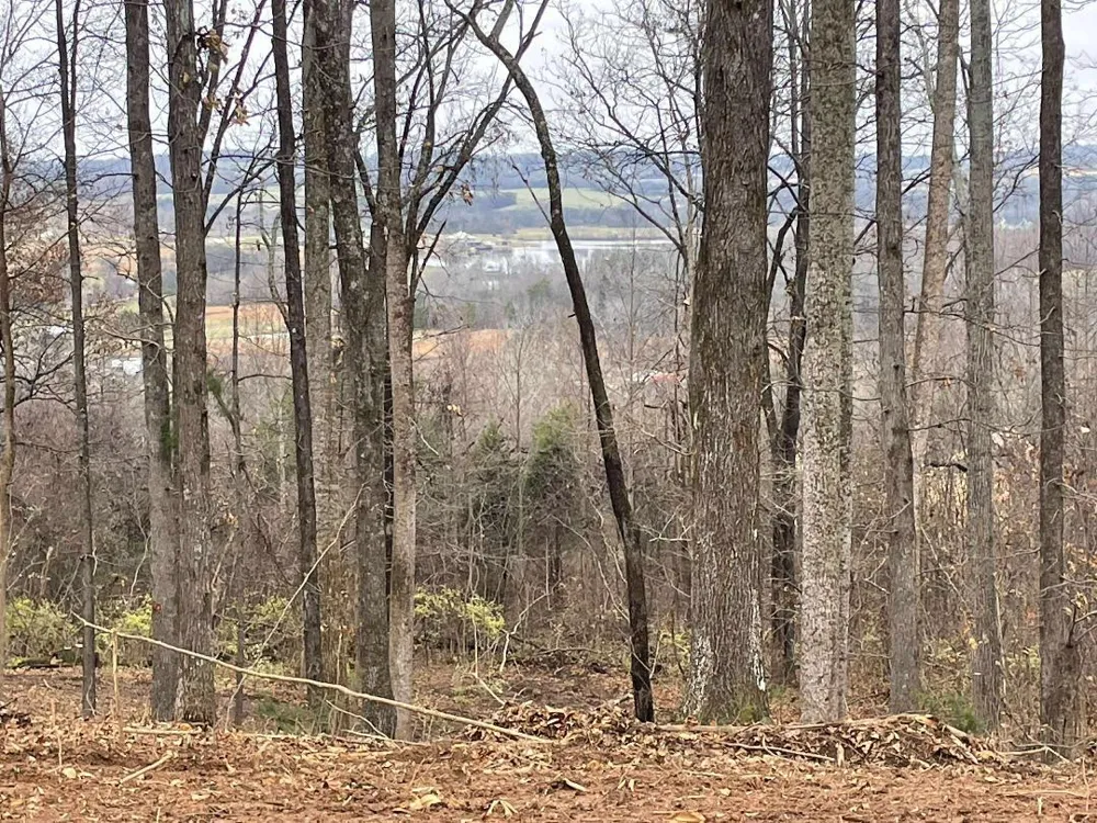 Lot 10 Poplar Drive Sweetwater, TN 37874