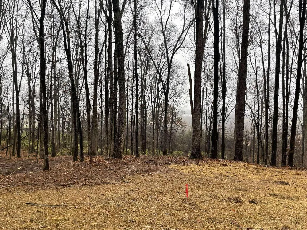 Lot 10 Poplar Drive Sweetwater, TN 37874