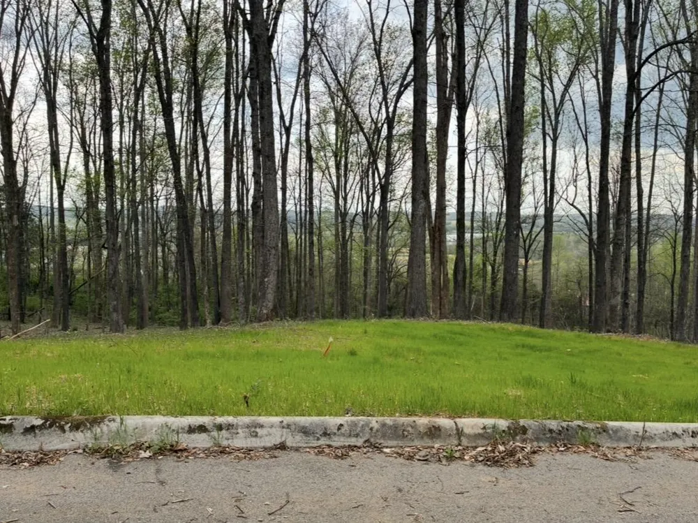 Lot 10 Poplar Drive Sweetwater, TN 37874