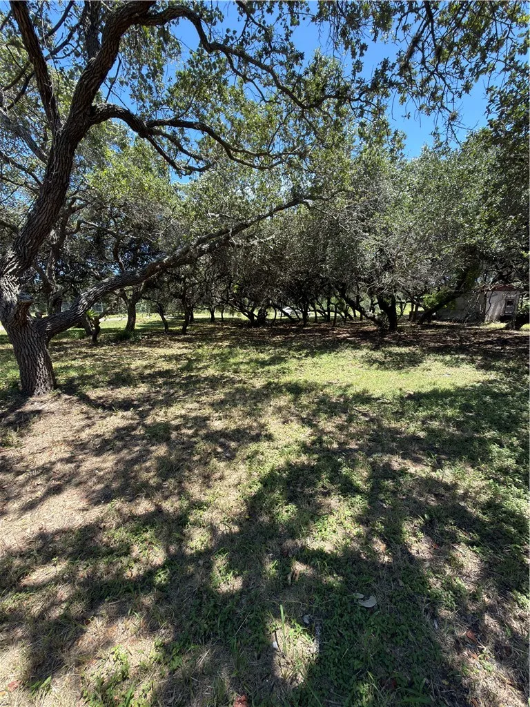 Wildwood Drive Ingleside on the Bay, TX 78362