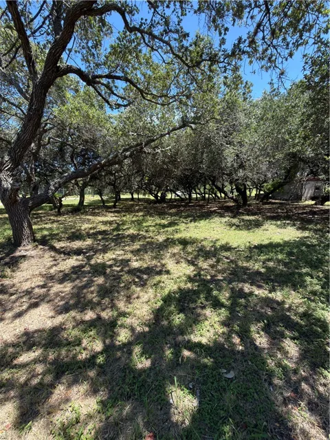 Wildwood Drive