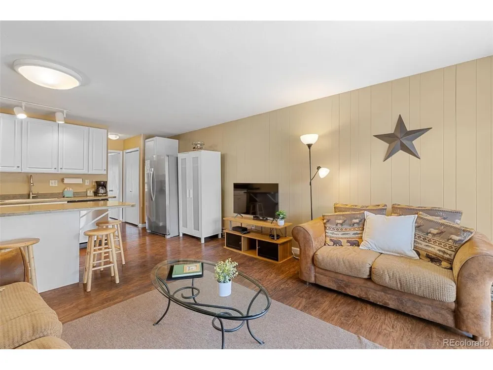 1513 E Keystone Road #D-2964 Dillon, CO 80435