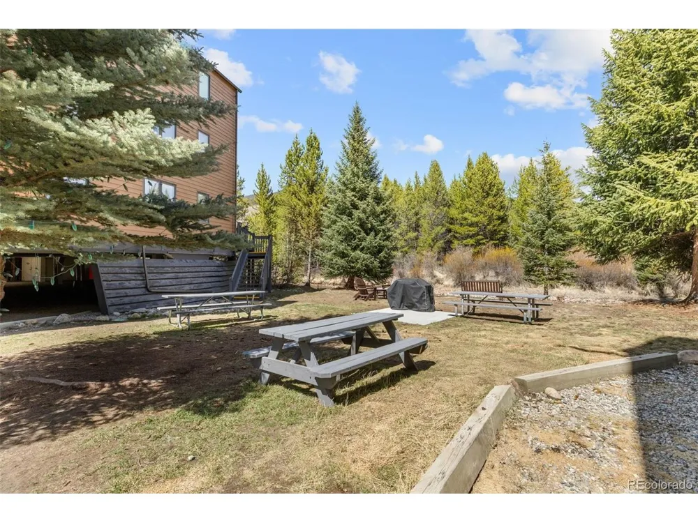 1513 E Keystone Road #D-2964 Dillon, CO 80435
