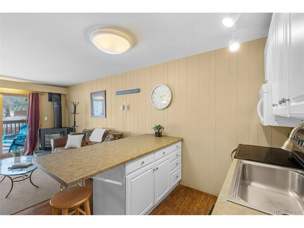 1513 E Keystone Road #D-2964 Dillon, CO 80435