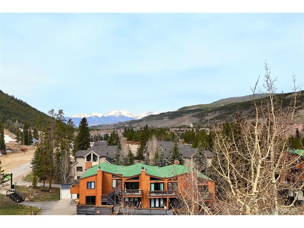 1513 E Keystone Road #D-2964 Dillon, CO 80435