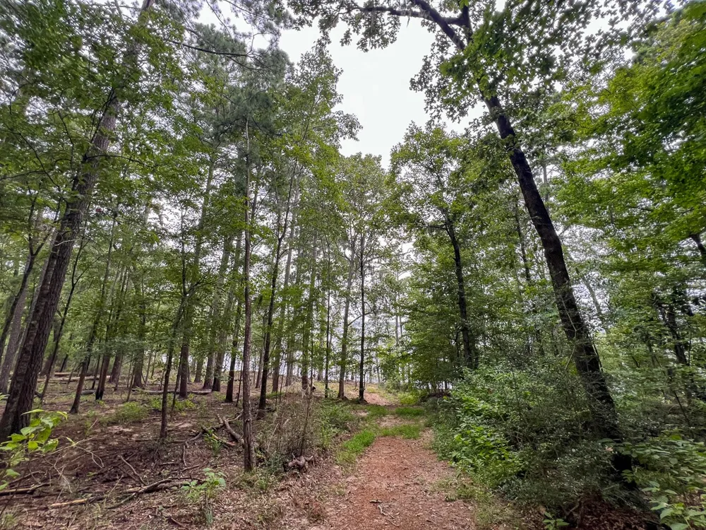 Arledge Trail/Off Gateway Meadows Hemphill, TX 75948
