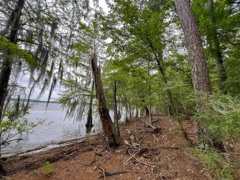 Arledge Trail/Off Gateway Meadows Hemphill, TX 75948