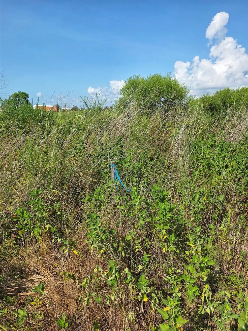 Tbd Crystal Beach, TX 77650