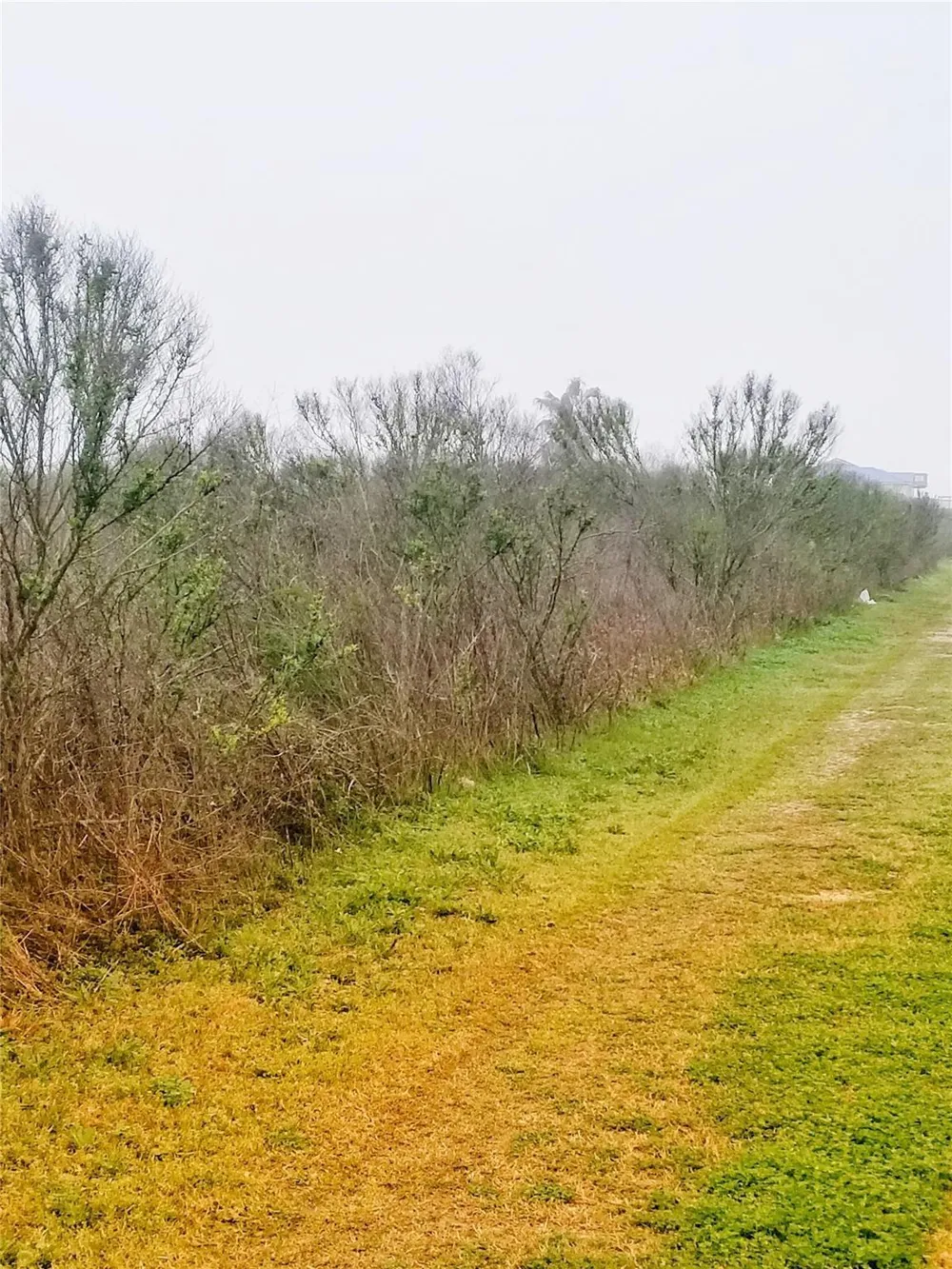 Tbd Crystal Beach, TX 77650