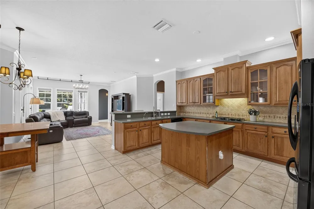 5226 BRIGHTON SHORE DRIVE Apollo Beach, FL 33572