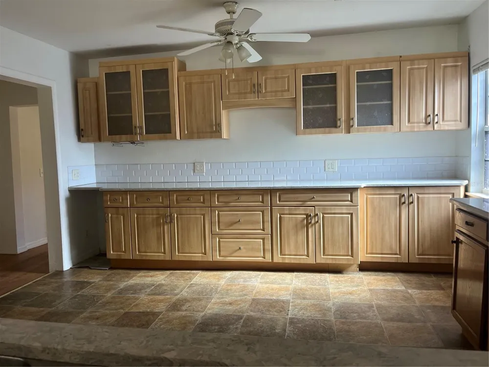 53 W PARK STREET Tarpon Springs, FL 34689