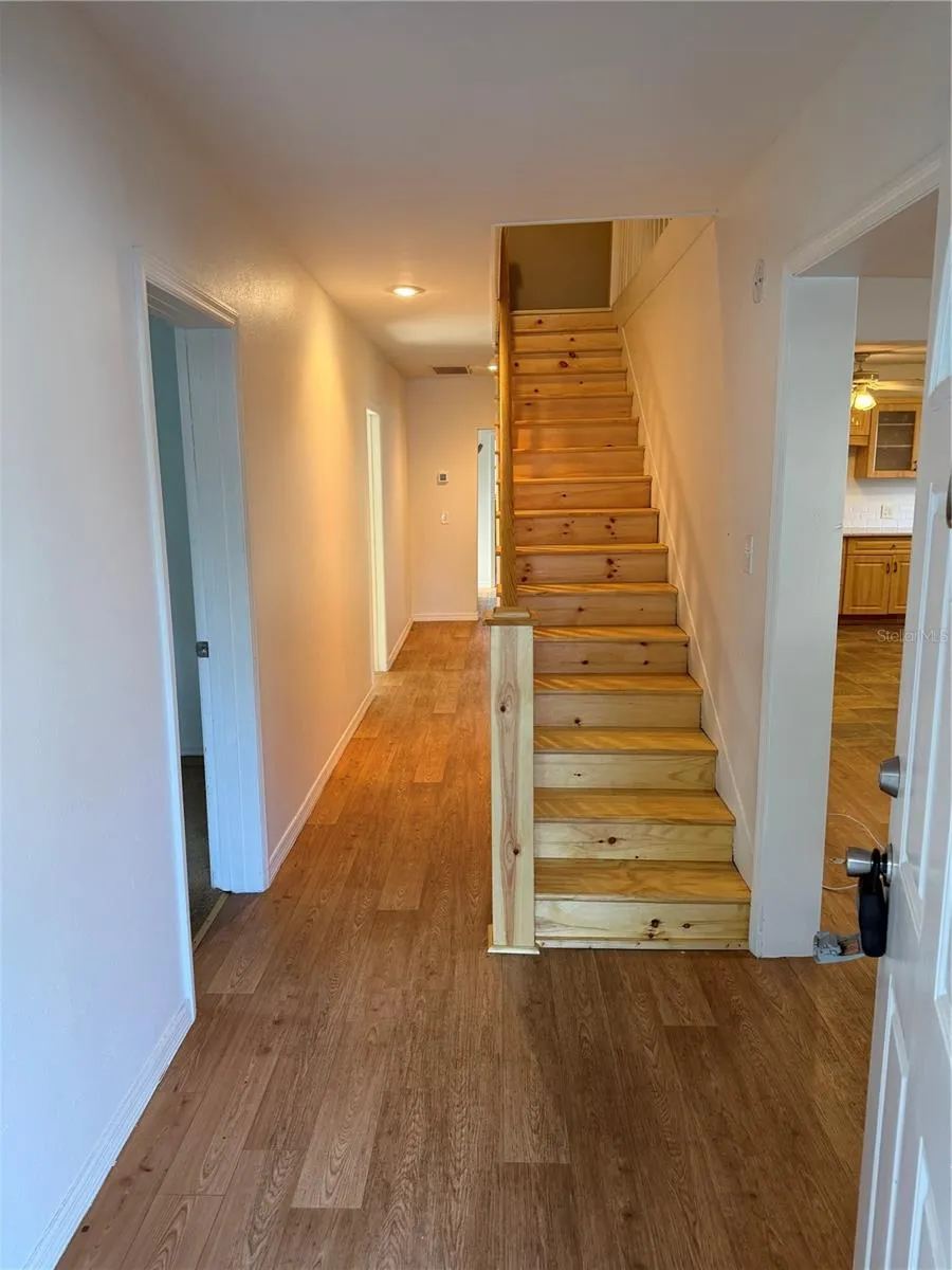 53 W PARK STREET Tarpon Springs, FL 34689