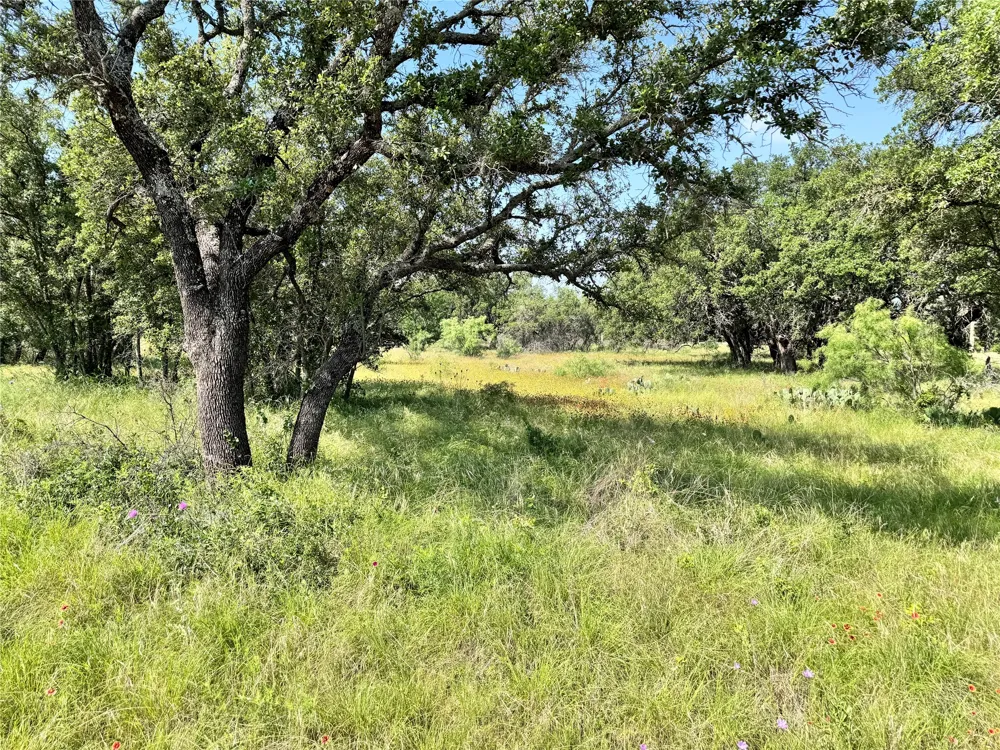 Lanyard Way Brownwood, TX 76801