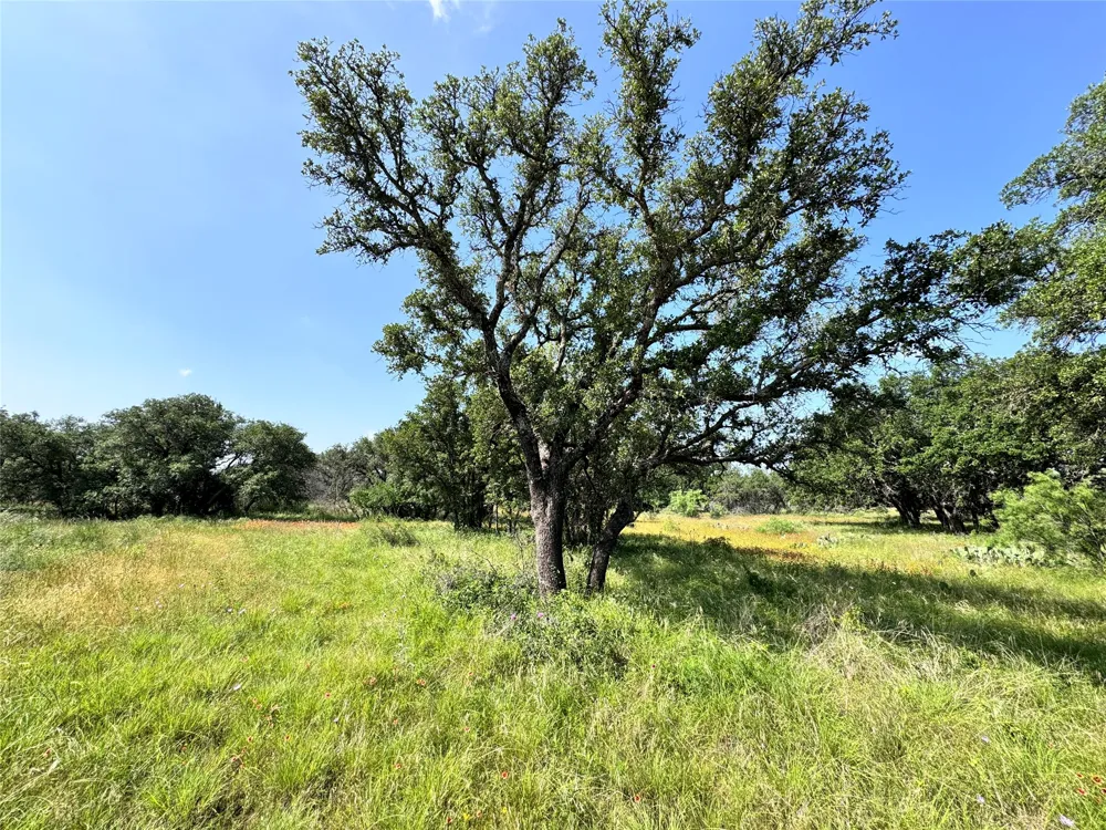 Lanyard Way Brownwood, TX 76801