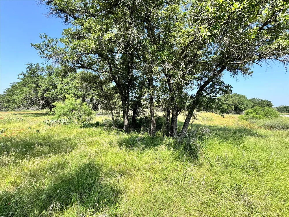 Lanyard Way Brownwood, TX 76801