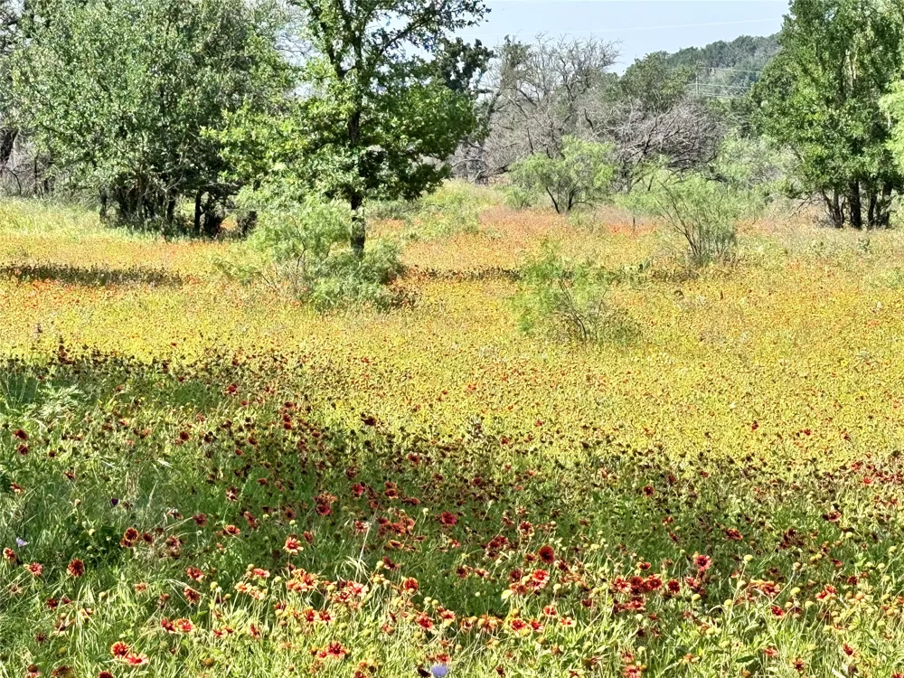 Lanyard Way Brownwood, TX 76801