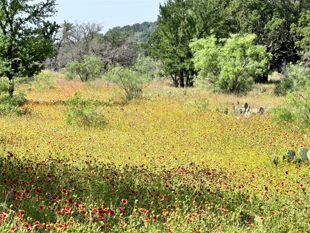 Lanyard Way Brownwood, TX 76801