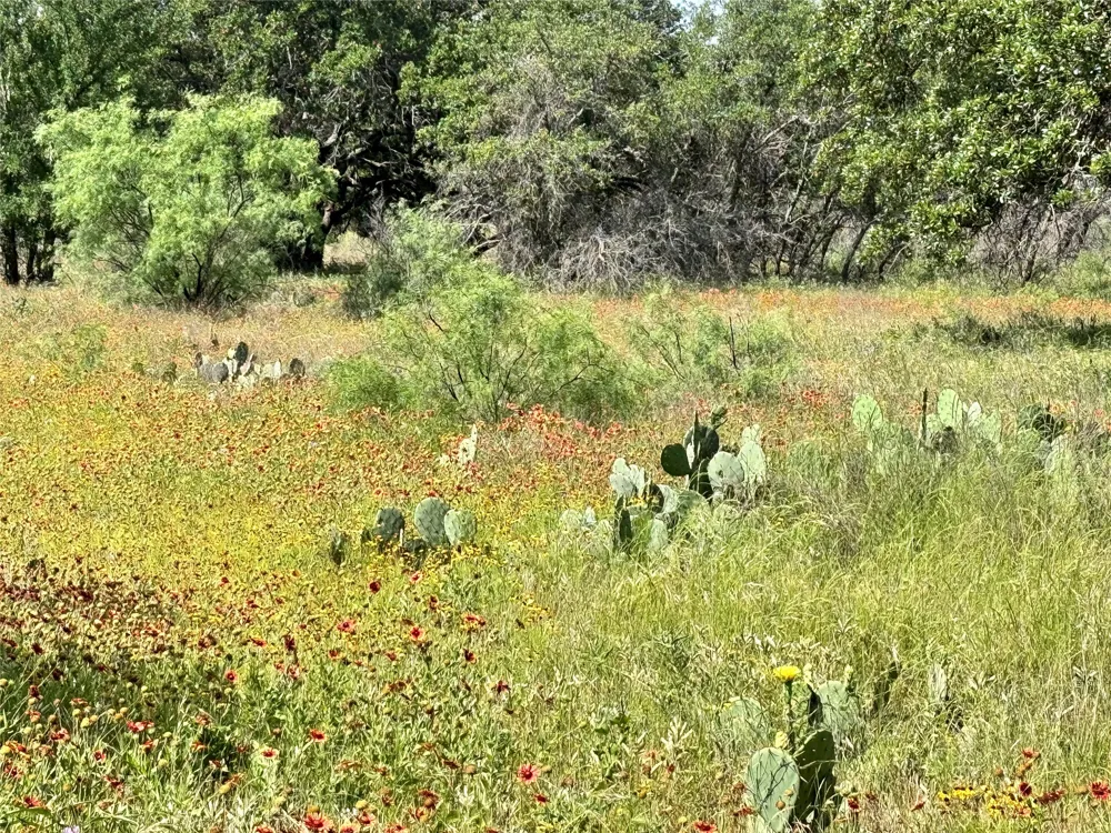Lanyard Way Brownwood, TX 76801