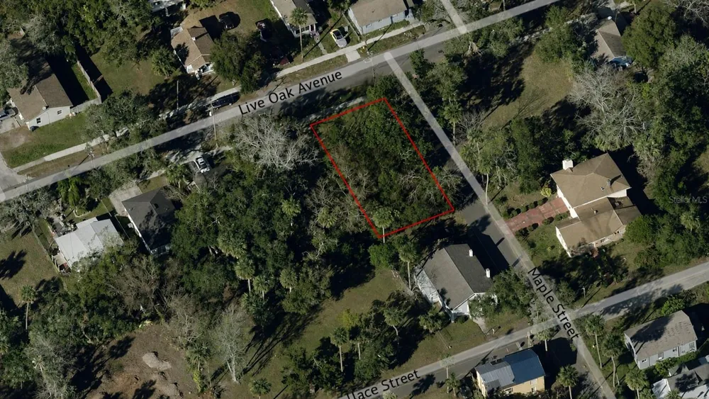 547 LIVE OAK AVENUE Daytona Beach, FL 32114