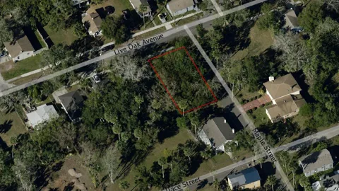547 LIVE OAK AVENUE