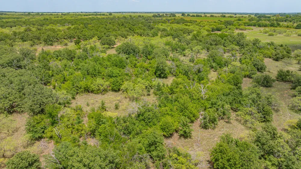 Co Rd 400 Carbon, TX 76435