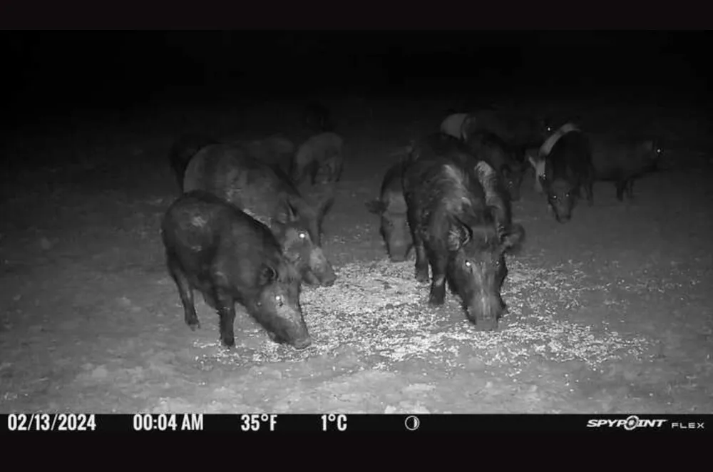 Co Rd 400 Carbon, TX 76435