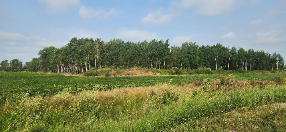 TBD 340th Avenue NE Goodridge, MN 56725