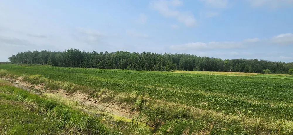 TBD 340th Avenue NE Goodridge, MN 56725