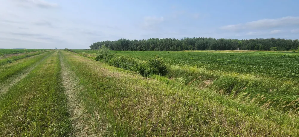 TBD 340th Avenue NE Goodridge, MN 56725